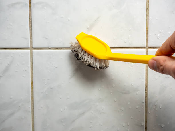 Mold Removal and Inspection in Wadsworth, OH